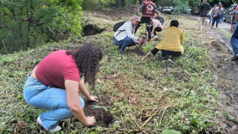 Central Sindical UNE-FNT participa en jornada de reforestación