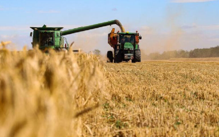 Nuevas regiones permitirán elevar cosecha de cereales en Rusia en 5 millones de toneladas