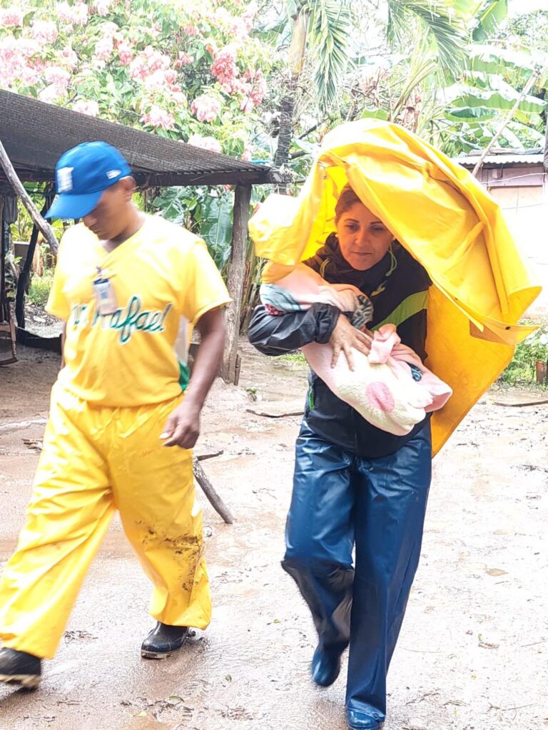 La fuerza de la vida no se detuvo a pesar del Huracán Julia