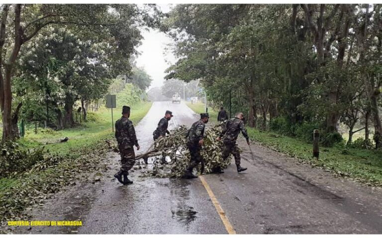Ejército de Nicaragua realiza remoción de árboles caídos en Matagalpa y Jinotega