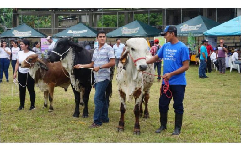 Sistema Nacional de Producción realiza Feria Ganadera en Chontales