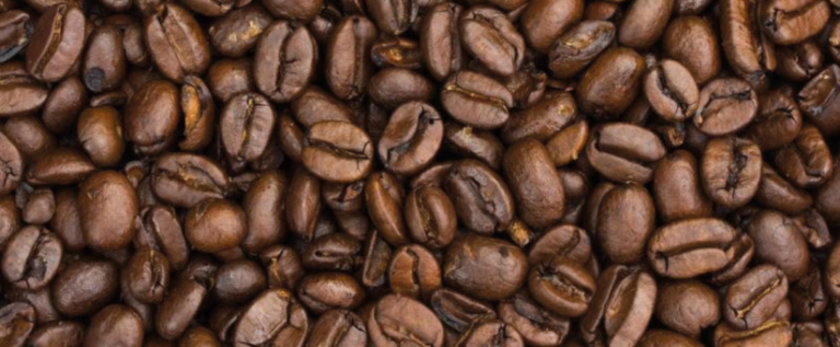 Proyectan 120 mil quintales de café bajo la Denominación de Origen
