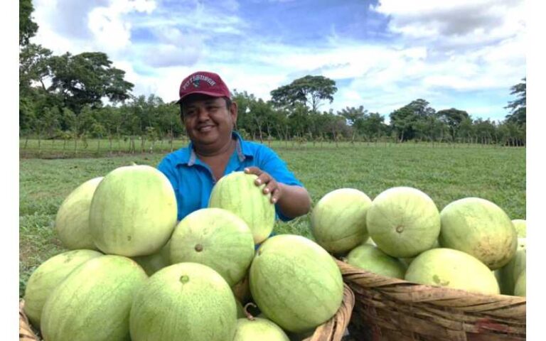 Autoridades visitaron finca productora y exportadora de Sandía