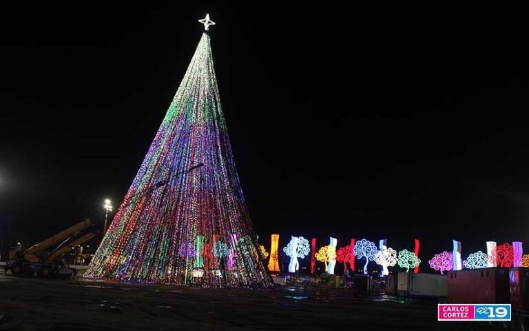 Árboles Navideños más grandes de Nicaragua avanza su instalación