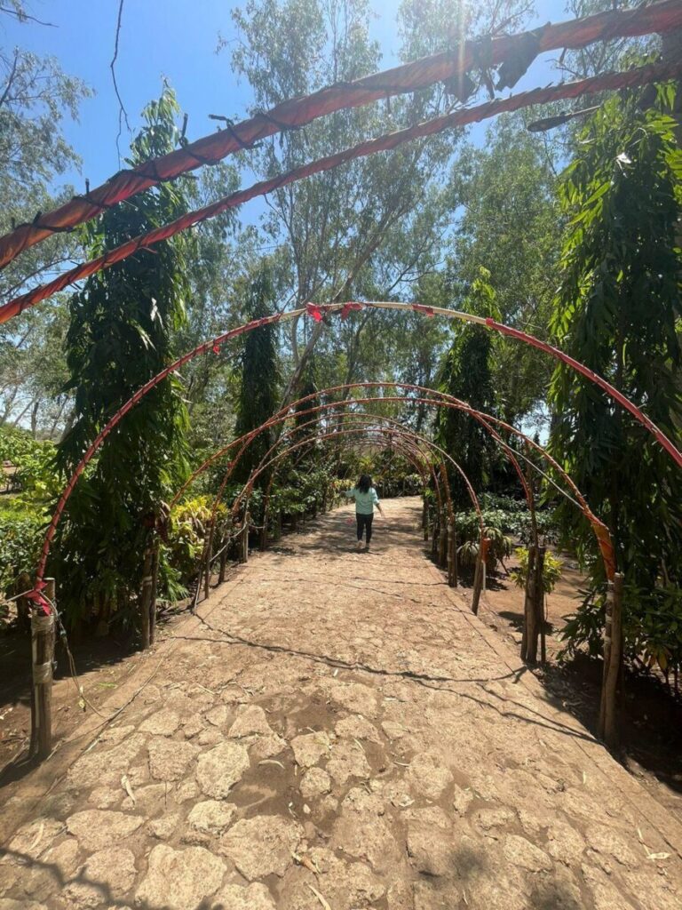 Jóvenes Comunicadores promocionan destinos turísticos en San Rafael del Sur