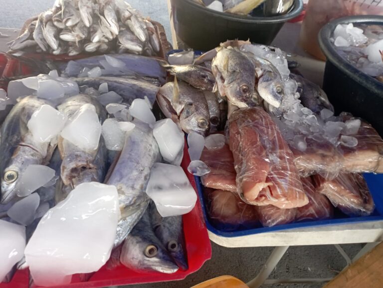 Feria del Mar un deleite para los amantes de los mariscos