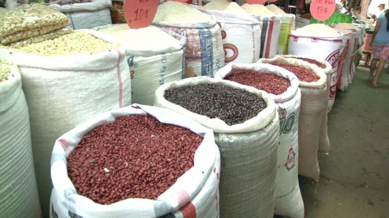 Productos de la canasta básica mantienen su precio